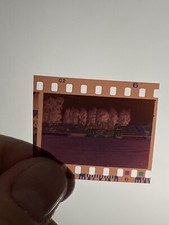 NEGATIVO FOTOTIFO ULTRAS