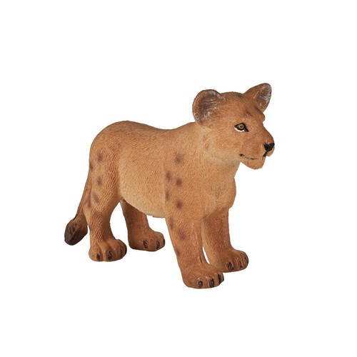Leone cucciolo piedi - leone,