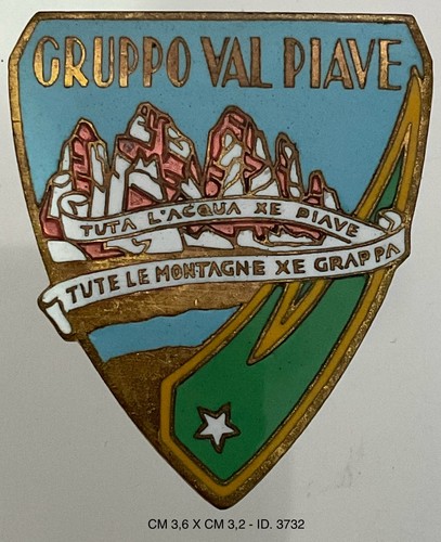 Alpini gruppo val - gruppo,
