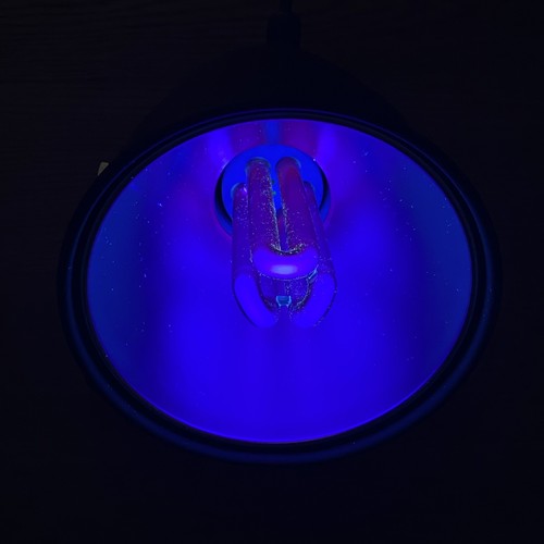 Proiettore luce nera di - luce,