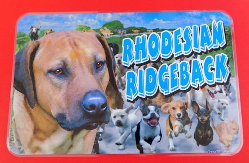 Dog breed rhodesian - dog, breed~rhodesian
