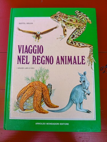 Libri oro viaggio nel - libri, d'oro