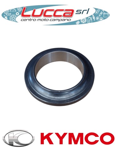 00155754 pista sterzo - 00155754,