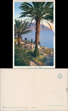 Cartolina .Liguria Liguria