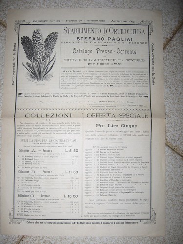 R219-TOSCANA-ORTICOLTURA-STABI