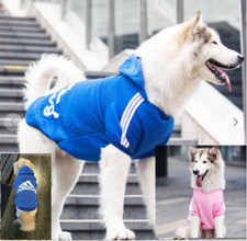 Adidog Felpa con Cappuccio