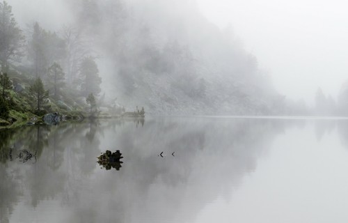 Lake shore fog clone advance - shore,