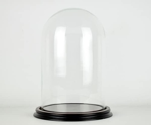 Espositore cupola vetro - a,