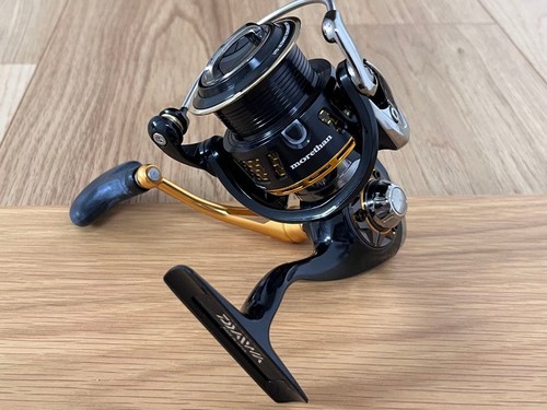 Daiwa more than - 14,