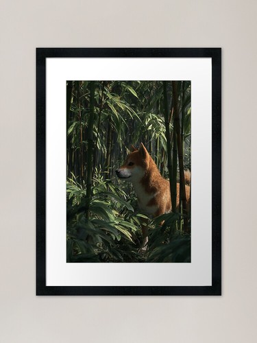 Curioso shiba inu - shiba,