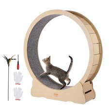 Ruota da corsa per gatti da