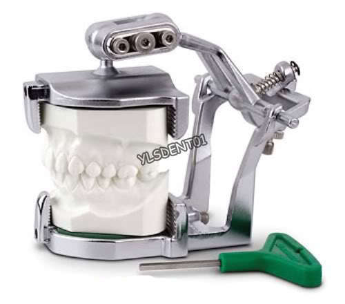 Articolatore magnetico dentale