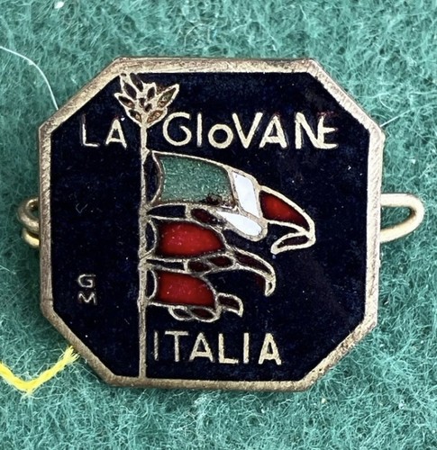 Distintivo pin spilla - pin,