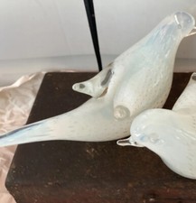 1 colomba uccellino di Murano