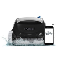 Dolphin Restored (2025 Model)