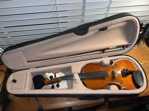 Palatino_VN-450_Violin_w/