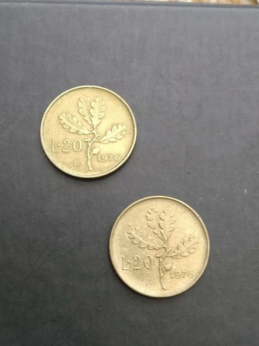 Due monete lire - ramo, di