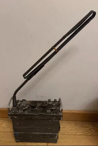 Autentica antenna flessibile