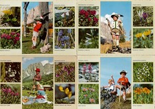 CARTOLINE 10 PZ. MAXI PAESAGGI