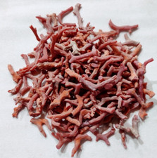 Corallo rosso naturale 100 - corallo, al
