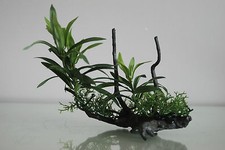 Acquario Realistica Plastica