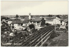 MANTOVANA - PREDOSA -