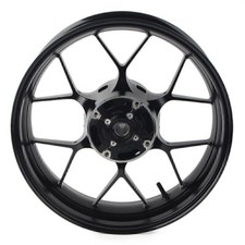 Cerchio posteriore con