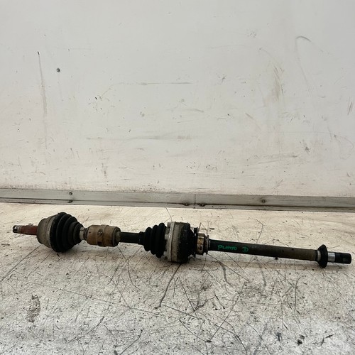 46307687 semialbero ant - semialbero,