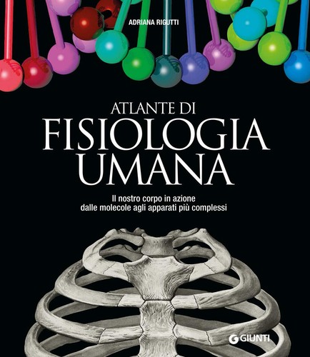 Adriana rigutti atlante - atlante, di