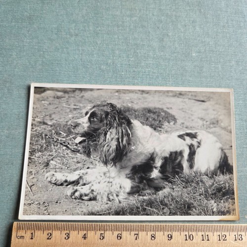 Vintage postcard classic - vintage,