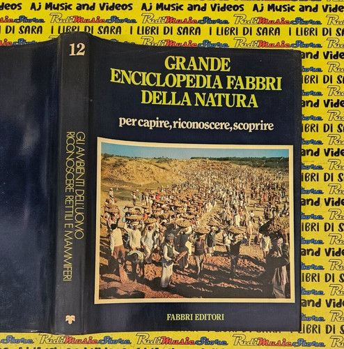 Book libro enciclopedia - book,