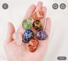 Collezione teschi di - di,