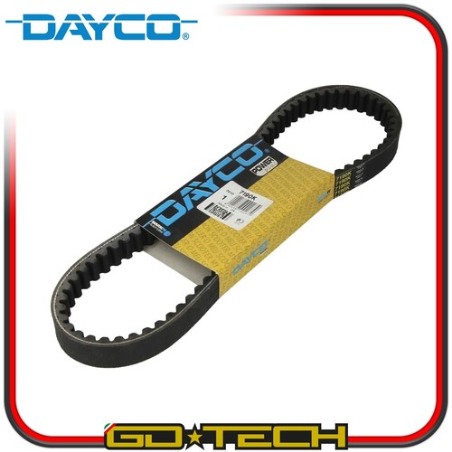 Cinghia trasmissione dayco - cinghia, di