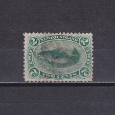 TERRANOVA 1870, SG# 31, CV