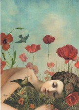 Cartolina: Catrin Welz-Stein -