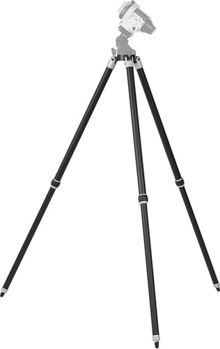 Treppiede kenko skymemo - skymemo, s