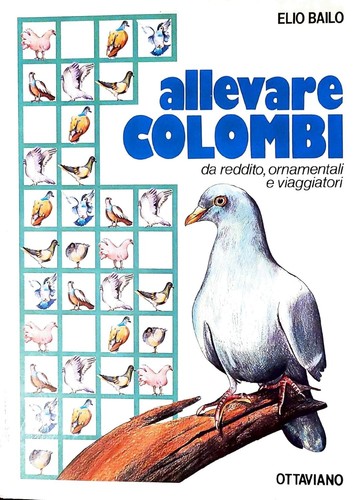 Allevare colombi reddito - colombi, da