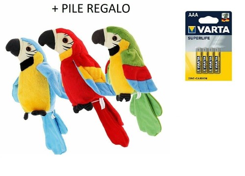 Pappagallo parlante - pappagallo,