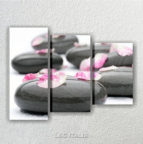 Petali zen quadro moderno - -,