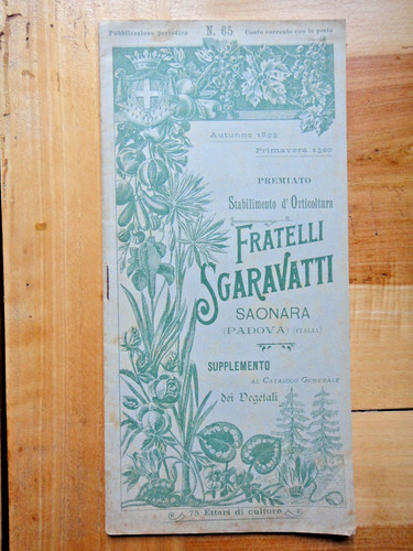 1899-Fratelli