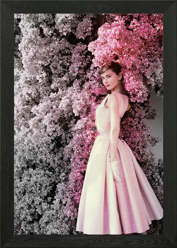 Audrey hepburn con - audrey,