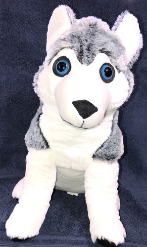 Peluche cane siberiano - , husky