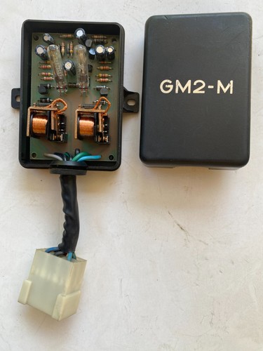 Modulo per antifurto auto