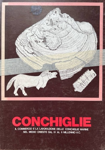 Conchiglie commercio e la - commercio,