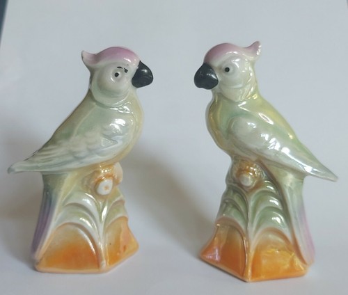 Coppia piccoli volatile - coppia,