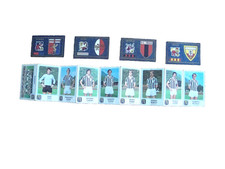 N° 13 Figurine Panini Album