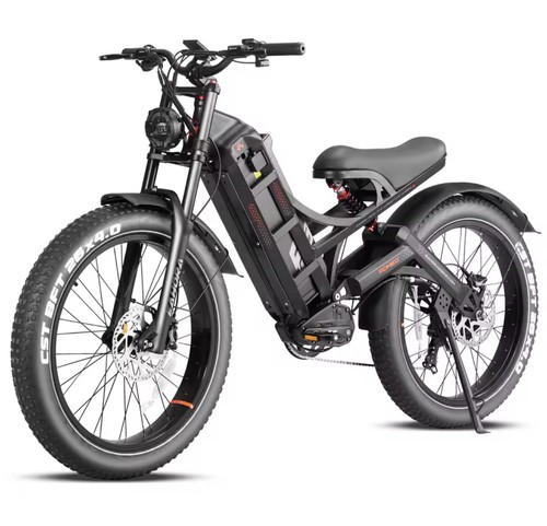 Fat bike elettrica heaora - bike,
