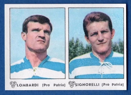 Figurina calciatori panini - figurina,