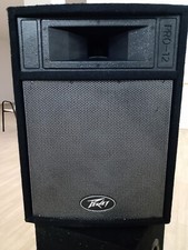 Diffusori PEAVEY Pro-12 Casse