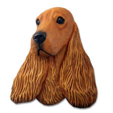 Inglese Cocker Spaniel Testa